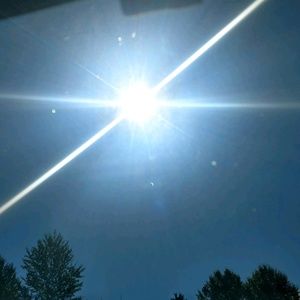 Meet your Posher, Theresa